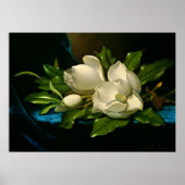 青いベルベットの布の上の巨大なマグノリア ポスター (正面)