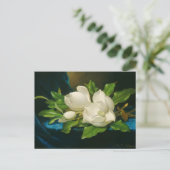 青いベルベットの布の上の巨大なマグノリア ポストカード (スタンド正面)