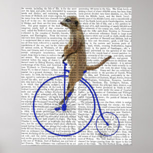 青いペニーのFarthingのMeerkat ポスター
