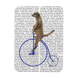 青いペニーのFarthingのMeerkat マグネット