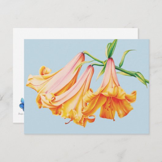 青いペンシルの水彩画にオレンジ色のユリ ポストカード (正面/裏面)