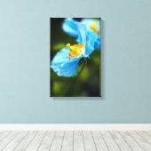 青いポピーの花のキャンバス印刷 キャンバスプリント (インサイチュ (ウッドフロア))