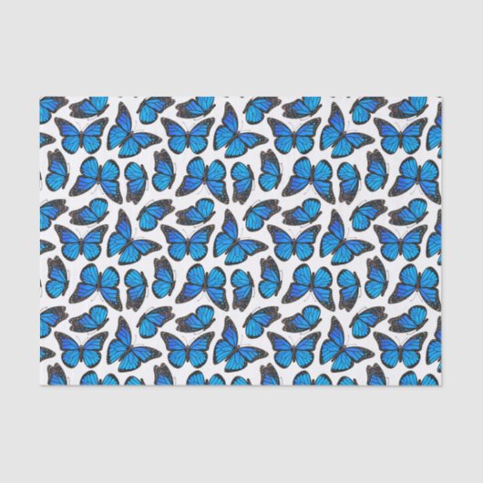 青いマダラチョウパターン 薄葉紙 (正面)