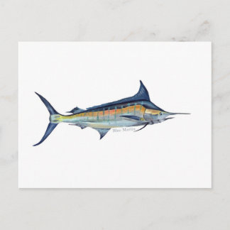 青いマーリンの魚のはがき ポストカード