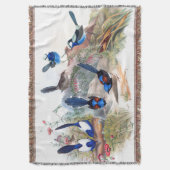 青いミソサザイの鳥の野性生物によってはオーストラリアの投球が開花します スローブランケット (正面縦)