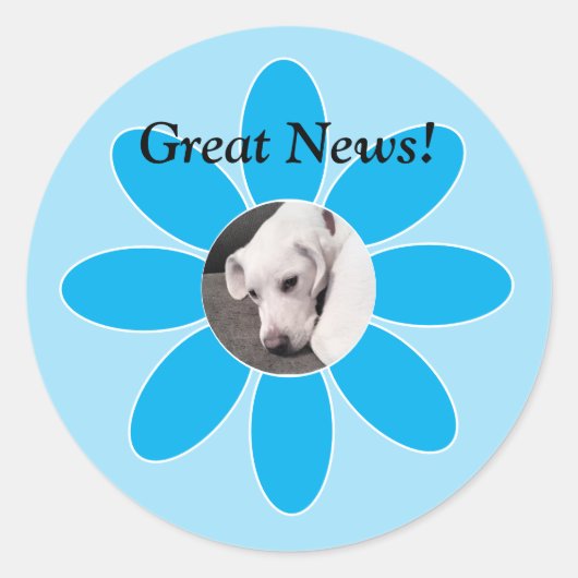 青いムームに可愛い子犬の写真 ラウンドシール (正面)