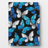 青いモルフォ蝶のシームレスなパターン フォトプラーク (正面)