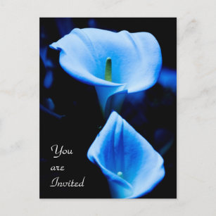 青いライトで浸る美しいオランダカイウユリの組 インビテーションポストカード