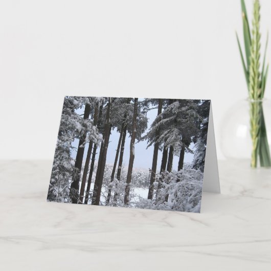 青いライトのSnowyのマツ シーズンカード (正面)