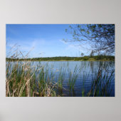 「青いラグーン」 ポスター (正面)