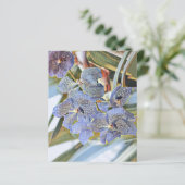 青いラバンダー色の蘭の花 (スタンド正面)