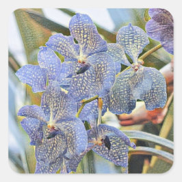 青いラバンダー色の蘭の花 スクエアシール