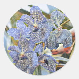 青いラバンダー色の蘭の花 ラウンドシール