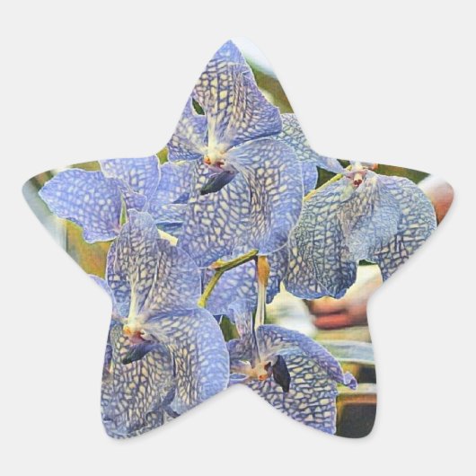 青いラバンダー色の蘭の花 星シール (正面)