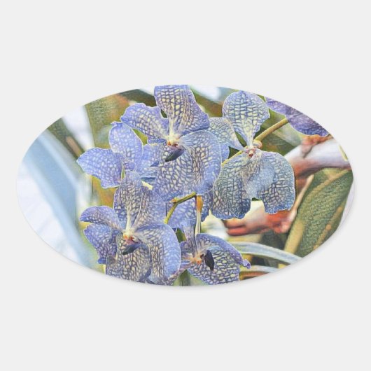 青いラバンダー色の蘭の花 楕円形シール (正面)