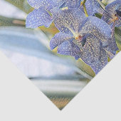 青いラバンダー色の蘭の花 薄葉紙 (詳細)