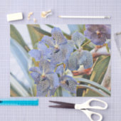 青いラバンダー色の蘭の花 薄葉紙 (クラフト)