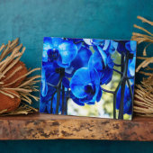 青いラン フォトプラーク (側面)