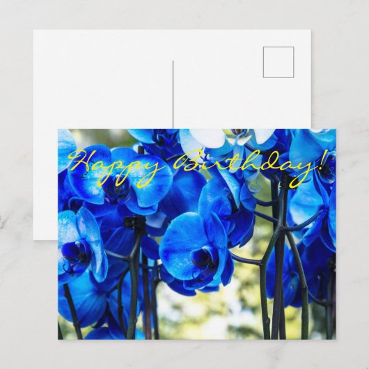 青いラン ポストカード (正面/裏面)