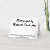 青いリッジのパークウェイのワイシャツ、カード及びギフト カード (裏面)