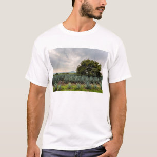 青いリュウゼツランとの景色 Tシャツ