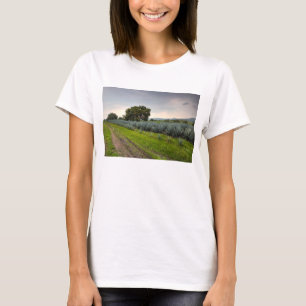 青いリュウゼツランの景色 Tシャツ