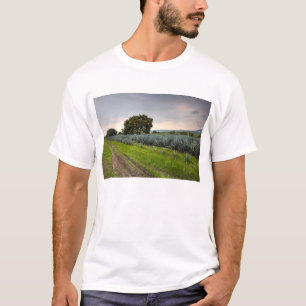 青いリュウゼツランの景色 Tシャツ