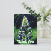 青いルピナスの抽象的な花の感謝カード ポストカード (スタンド正面)