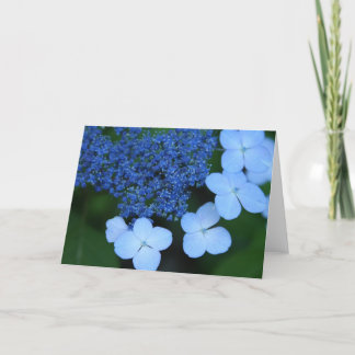 青いレースの挨拶状 カード