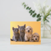 青いロシアの子猫とダシュントの子犬 ポストカード (スタンド正面)