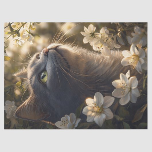 青いロシアの猫の白い花の切り離し 薄葉紙 (正面)