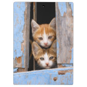 青いヴィンテージの窓の写真のかわいい猫の子ネコ クリップボード (裏面)