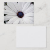 青い中心の名刺が付いている白い花 名刺 (正面/裏面)