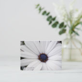 青い中心の名刺が付いている白い花 名刺 (スタンド正面)