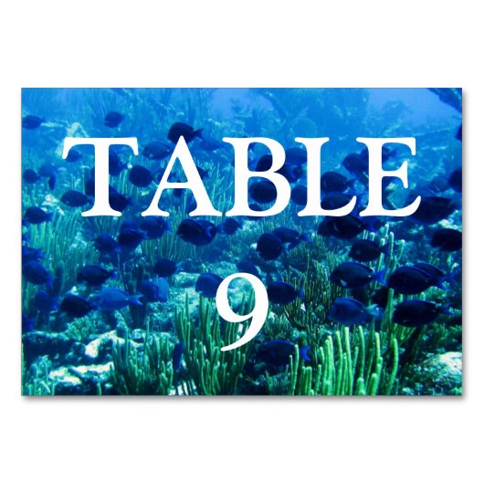 青い円盤投げの魚の群れ テーブルナンバー (裏面)