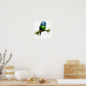 青い冠をかぶったオウムの3Dつるイメージ ポスター (キッチン)