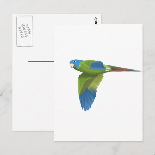 青い冠 ポストカード (正面/裏面)