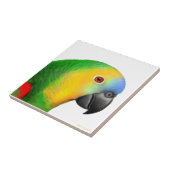 青い向かわれたアマゾンオウムのタイル タイル (側面)