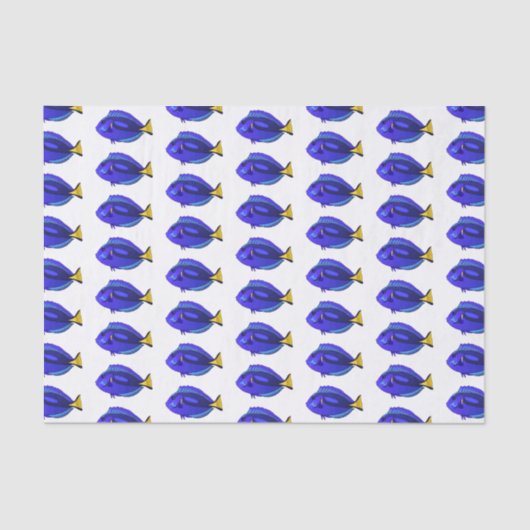 青い唐魚漫画イラストレーション 薄葉紙 (正面)