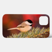 青い地図書ヒマラヤスギのカロライナ《鳥》アメリカゴガラ Case-Mate iPhoneケース (裏面 (横))