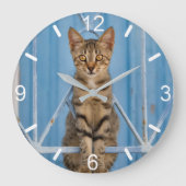 青い塀にすわっているかわいい子猫 ラージ壁時計 (正面)