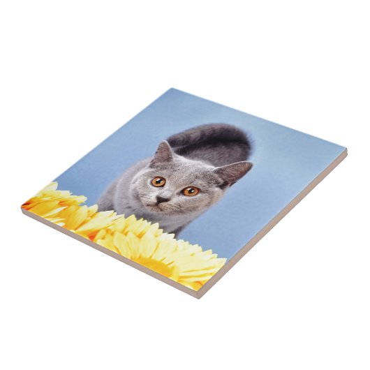 青い子猫 タイル (側面)