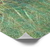 青い孔雀と白い孔雀の雛 ポスター (角)