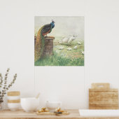 青い孔雀と白い孔雀の雛 ポスター (キッチン)