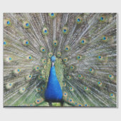 青い孔雀の完全な羽 ラッピングペーパー (フラット)