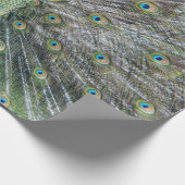 青い孔雀の完全な羽 ラッピングペーパー (角)