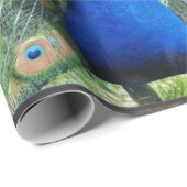 青い孔雀の完全な羽 ラッピングペーパー (ロールコーナー)