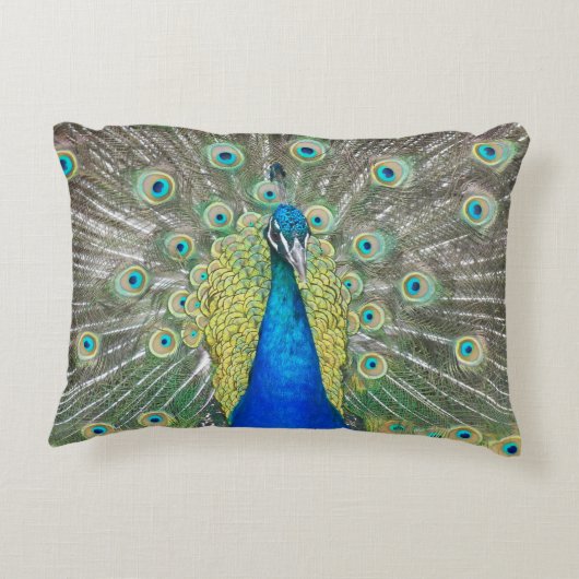 青い孔雀の羽の羽毛の写真 アクセントクッション (裏面)