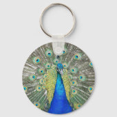 青い孔雀の羽の羽毛の写真 キーホルダー (裏面)