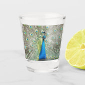 青い孔雀の羽の羽毛の写真 ショットグラス (正面)